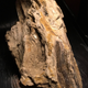 Bit of petrified wood.